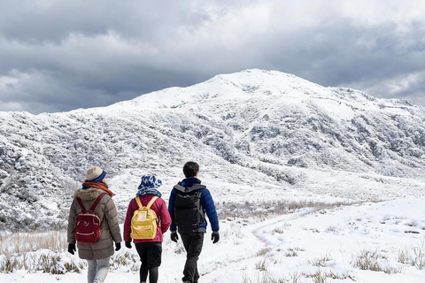 Two-Day Kamikochi & Tateyama Kurobe Snow Corridor Tour