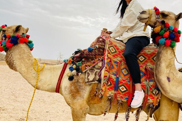 Hurghada: Camel Ride Vibes -The Ultimate Desert Experience 1-Hour Desert & Beach Camel Ride with Transfers