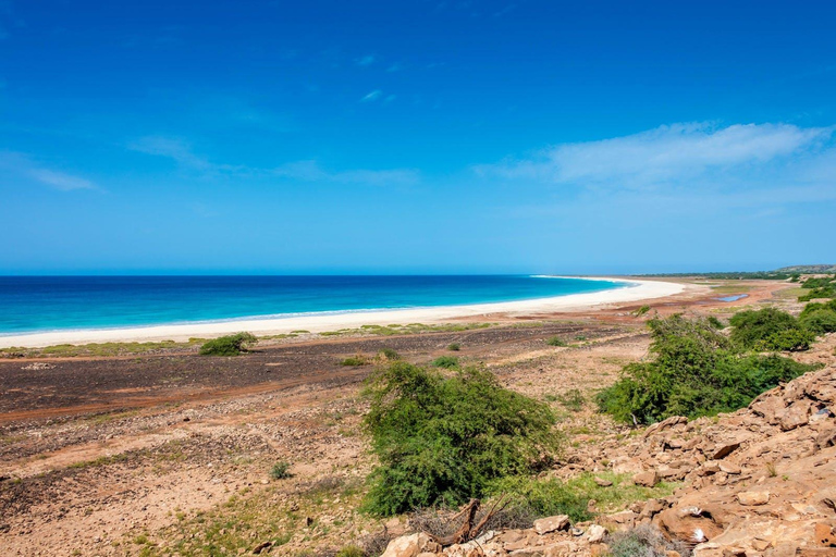 Boa Vista - całodniowa wycieczka 4x4 na wyspę z lunchem przy plaży