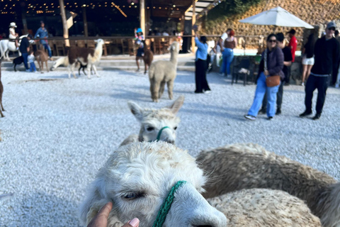 Visita Guatape e aldeias, passeio de barco com pequeno-almoço e almoço Medellin