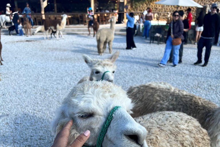 Visita Guatape e aldeias, passeio de barco com pequeno-almoço e almoço Medellin