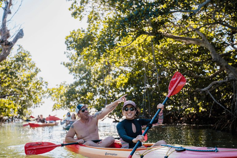 Excursión matinal en velero, snorkel y kayak por Cayo Hueso