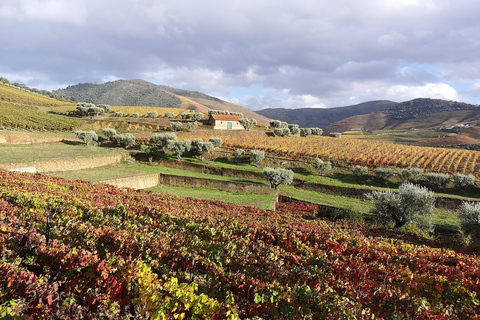 Da Porto: 2 regioni vinicole, barca privata e pranzo dello chef