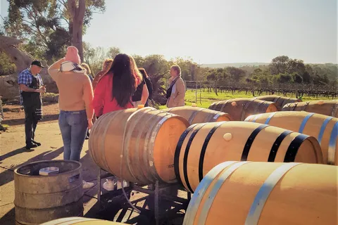 Delicias Secretas: Ruta del Vino, el Café, la Artesanía y el Bosque