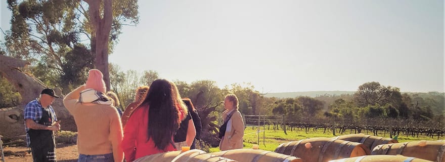 Délices secrets : Vin, café, artisanat et visite de la forêt