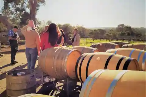 Delicias Secretas: Ruta del Vino, el Café, la Artesanía y el Bosque
