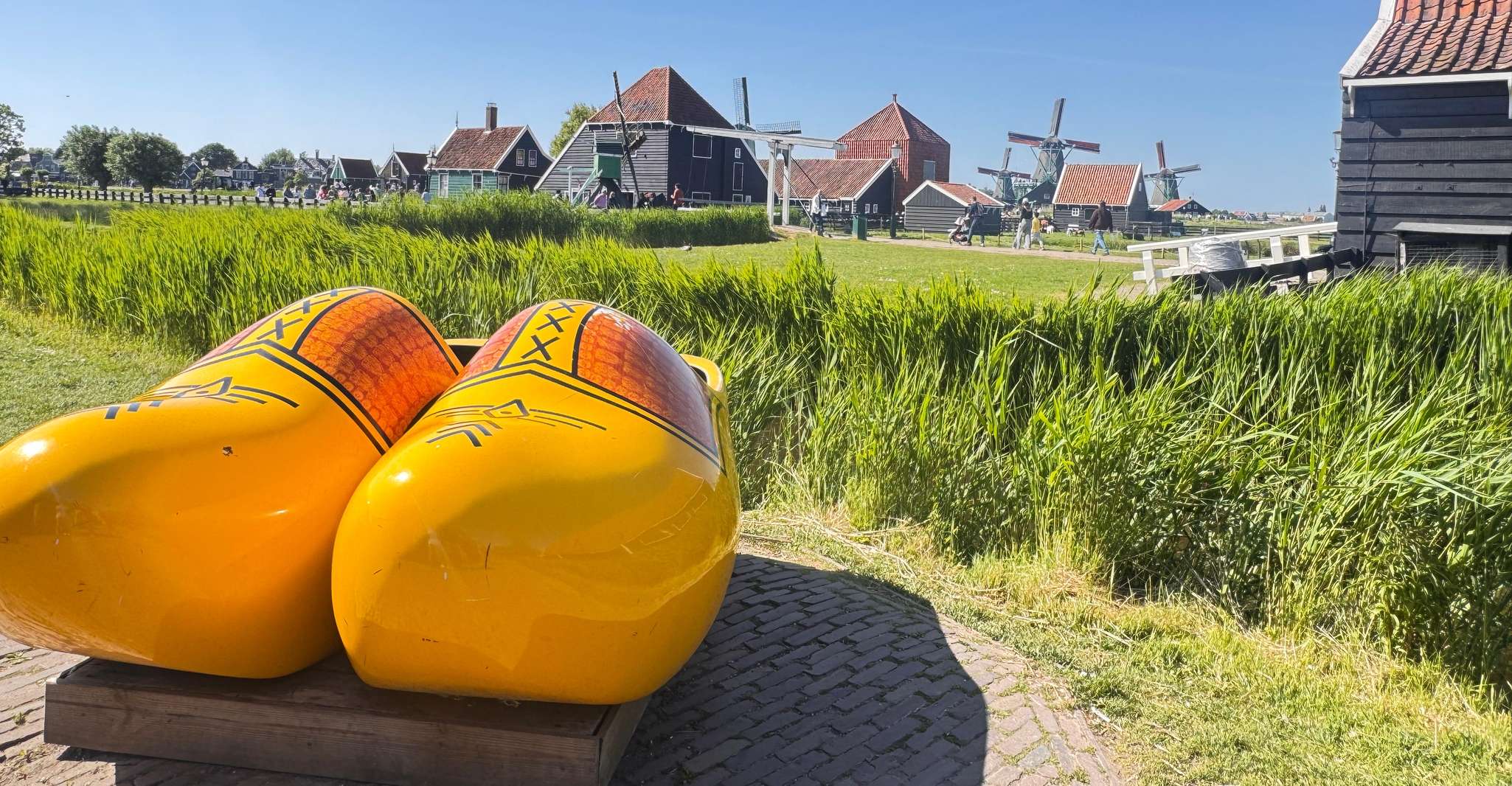 Amsterdam: Zaanse Schans Windmills & Zaandam E-Bike Tour photo 7