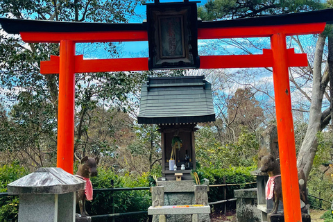 Private Shore Tour:Osaka, Kyoto, Nara, Kobe & Himeji