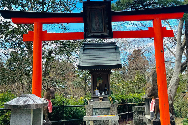 Private Shore Tour:Osaka, Kyoto, Nara, Kobe & Himeji
