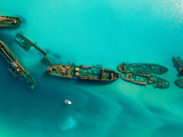 Visit Newport Tangalooma Wrecks Snorkeling Tour with Lunch in Moreton Island
