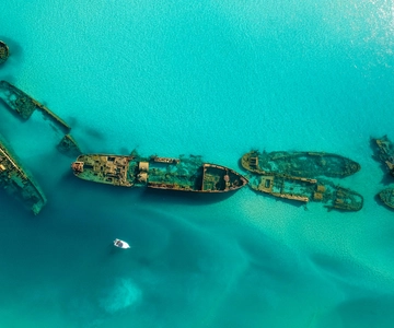 Newport: Tangalooma Wrecks Snorkeling Tour with Lunch