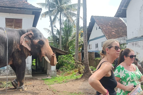 فورت كوتشي: جولات توك توك كوتشي - بأسعار مناسبة