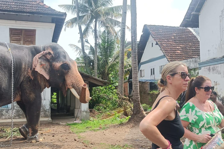 فورت كوتشي: جولات توك توك كوتشي - بأسعار مناسبة