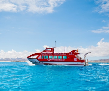 Desde Caleta de Fuste: Autobús de ida y vuelta y Ferry a la Isla de Lobos