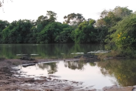 Wycieczka safari do Parku Narodowego Yala z Kolombo / Galle