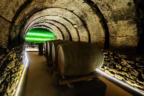 Visit and tasting in La Rioja wineries: Architecture, History and Wine Architecture and wine, and hidden wineries in RIOJA