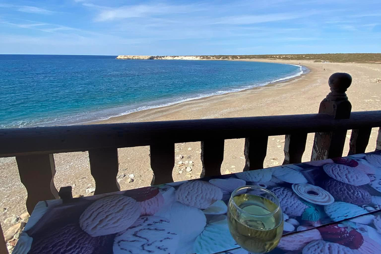 Paphos: Half-Day Private 4x4 Jeep Safari to Akamas