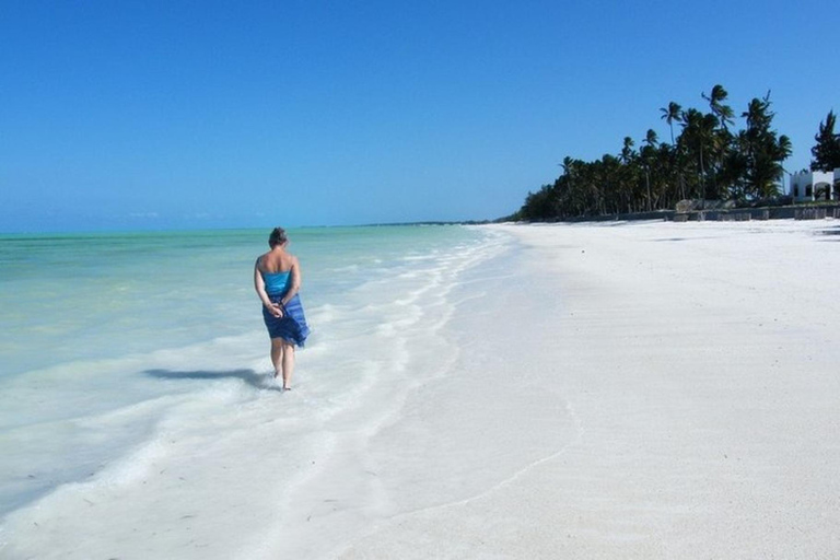 Zanzibar: Private Blue Lagoon & Starfish Snorkeling Tour Private Tour No Hotel pick up and drop-off