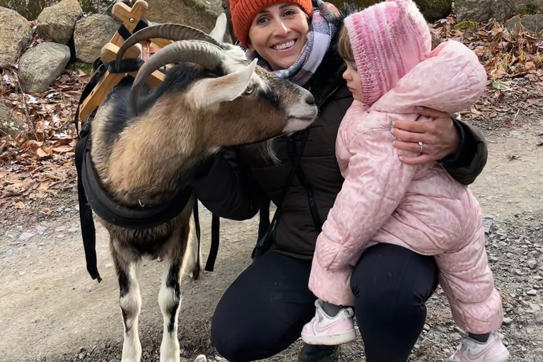 Quebec City: Guided Goat Hike & Beaver Dam Visit with Picnic