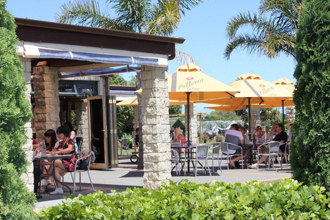 Auckland: Wine Country Tour with Lunch & Tastings