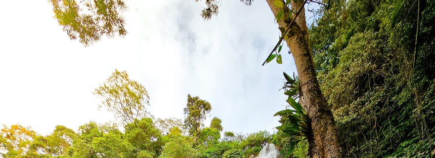 Bali : explorez 5 cascades lors d'une randonnée à Munduk