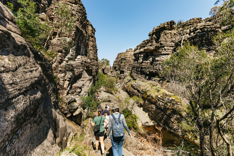 Desde Melbourne: Excursión en grupo al Parque Nacional de los Grampians