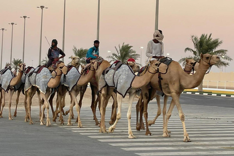 西海岸私人之旅：理查德·塞拉和沙漠奇观