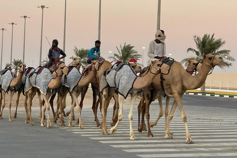 西海岸私人之旅：理查德·塞拉和沙漠奇观