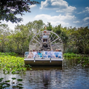 Miami: Everglades Safari Park Airboat Tour and Park Entrance