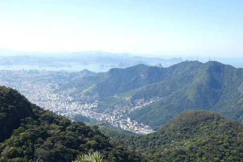 Rio: Christ the Redeemer and Tijuca Forest Tour