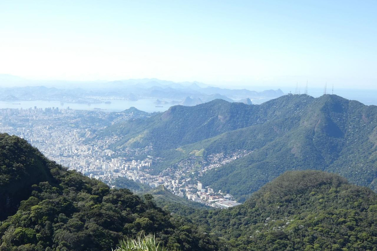 Rio: Christ the Redeemer and Tijuca Forest Tour