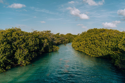 Sian Ka'an Tour from Tulum