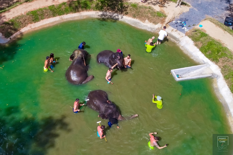 Phuket: Halbtägige Elefantenerkundung bei Phuket Elephant CareHotelabholung in Phuket