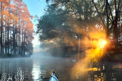 Tigre Delta: Island Life Full-Day Kayaking & Jungle Walk