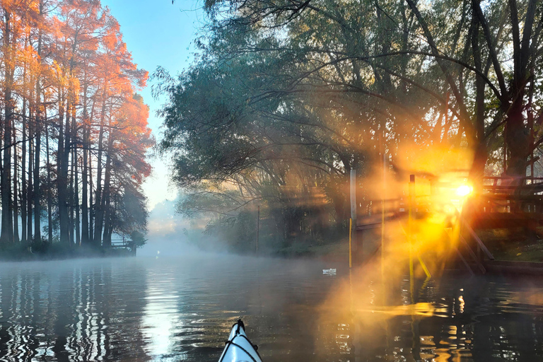 Tigre Delta: Island Life Full-Day Kayaking & Jungle Walk