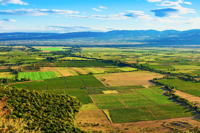 Tbilisi: Kakheti Wine Region Tour Sighnaghi, Bodbe & Alazani Guided Tour with Wine Tastings