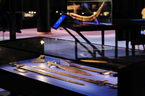 Estocolmo: ticket de acceso al Museo de Historia Sueca