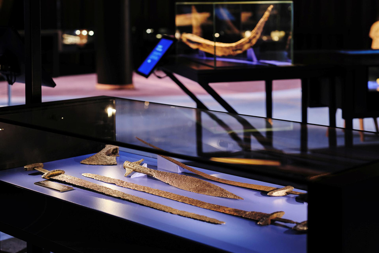 Estocolmo: ticket de acceso al Museo de Historia Sueca