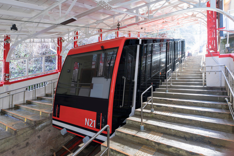 Kyoto: Koyasan World Heritage Digital Ticket