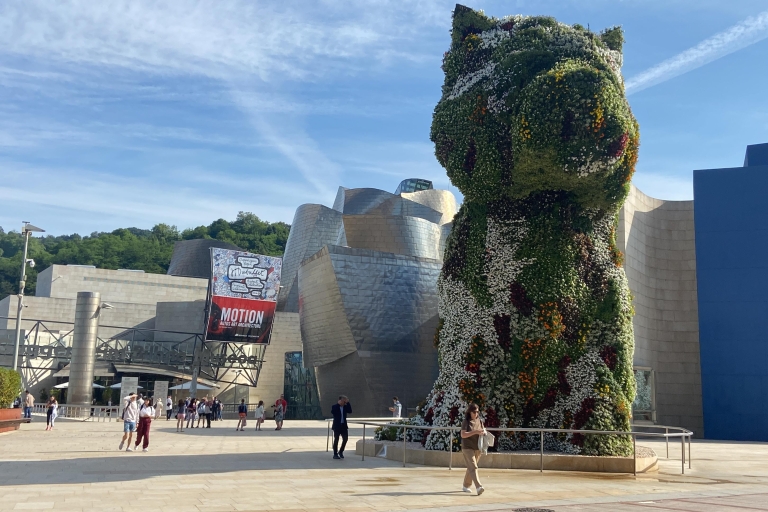 Bilbao: Führung im Guggenheim-Museum ohne AnstehenBilbao: Guggenheim-Museum ohne Anstehen auf Französisch
