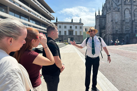 都柏林徒步之旅：城堡与大教堂——本地专家带您深度探索都柏林徒步之旅：城堡与大教堂，本地专家带您深度探索