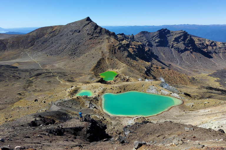 Nuova Zelanda: Tour guidato di 26 giorni dell&#039;Isola del Nord con campeggio