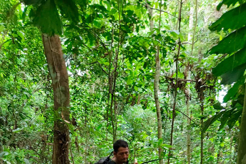 VIAGEM DE SOBREVIVÊNCIA NA AMAZÓNIAVIAGEM DE SOBREVIVÊNCIA NA AMAZÔNIA