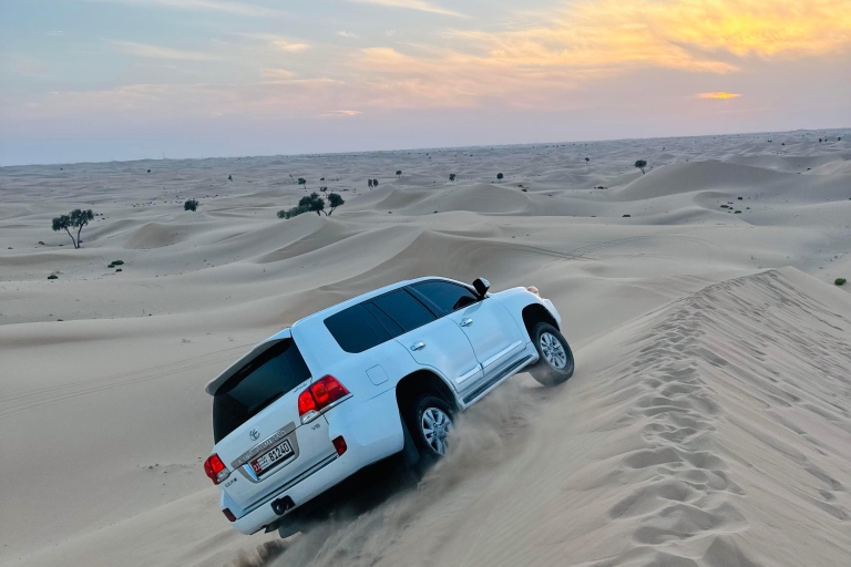 Abu Dhabi: Wüstentour mit BBQ-Abendessen und Hoteltransfer4 Stunden: Abenteuer Wüstensafari ohne ATV-Bike