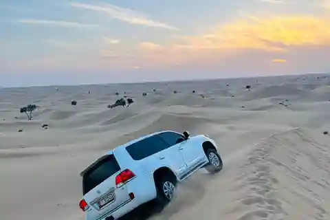 Abu Dhabi: Stopover Experience