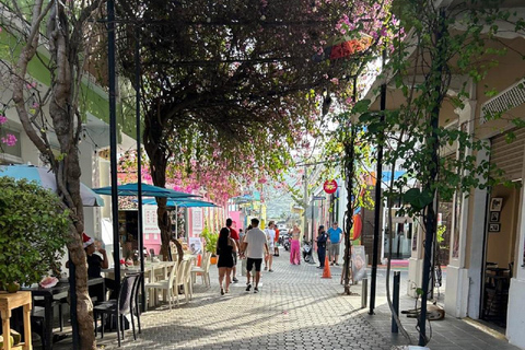 Puerto Plata: Monkey Jungle & City Tour Experience