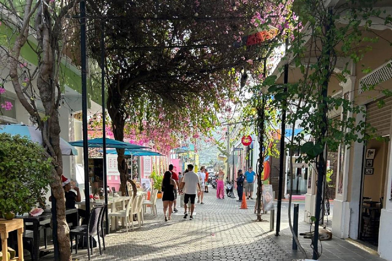 Puerto Plata: Monkey Jungle & City Tour Experience