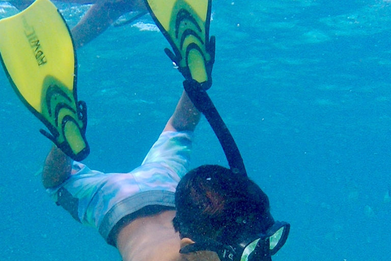 Van Caye Caulker: snorkeltocht van 3,5 uur in zeereservaat