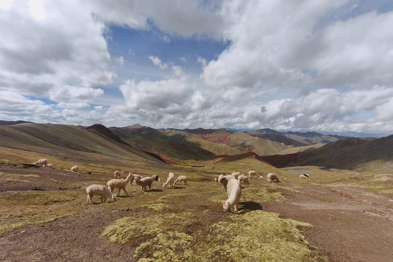 Cusco - Palcoyo Mountain Hike Full Day (Tickets Included)