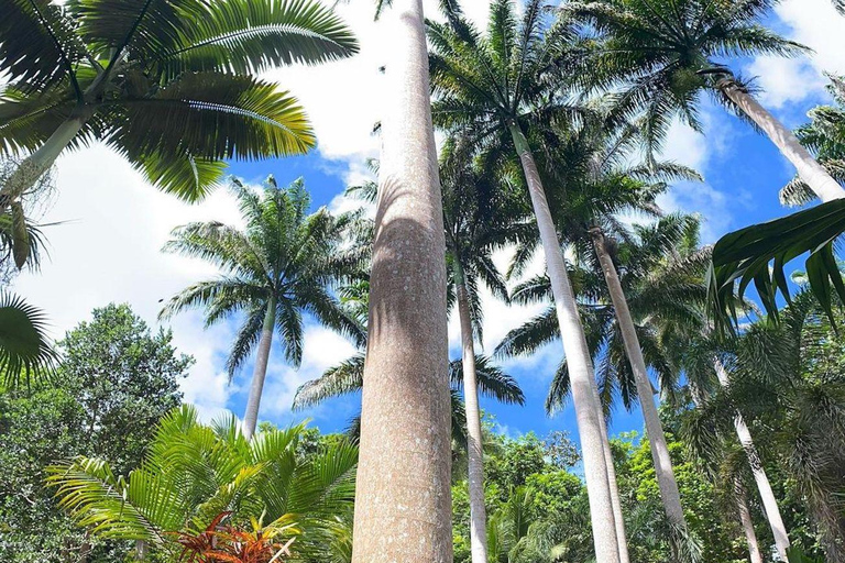 Barbados: Hunte&#039;s Garden, Ateliers für Kunsthandwerk und Strand Tour